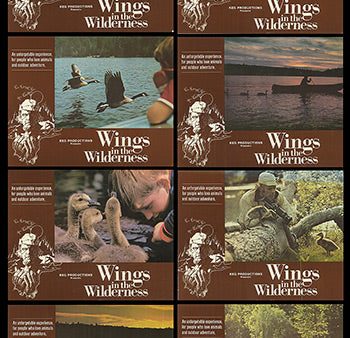 Wings in the Wilderness Online now