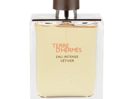 Hermes Terre D Hermes Eau Intense Vetiver Eau De Parfum 100ml Discount