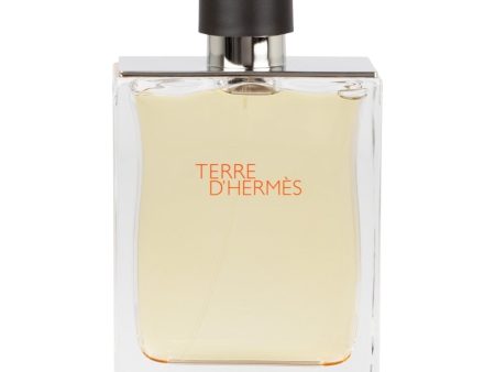 Hermes Terre D Hermes Eau De Toilette 100ml Sale